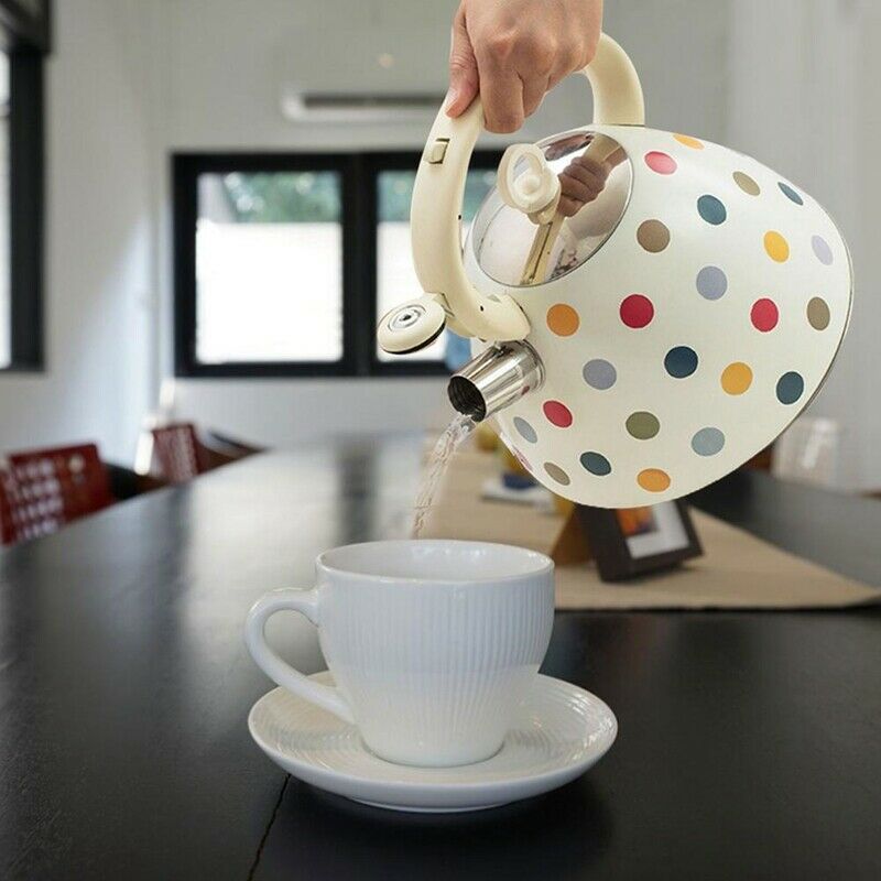 3L Stainless Steel Whistling Tea Kettle Teapot with Heat-Resistant Handle CoL3V9