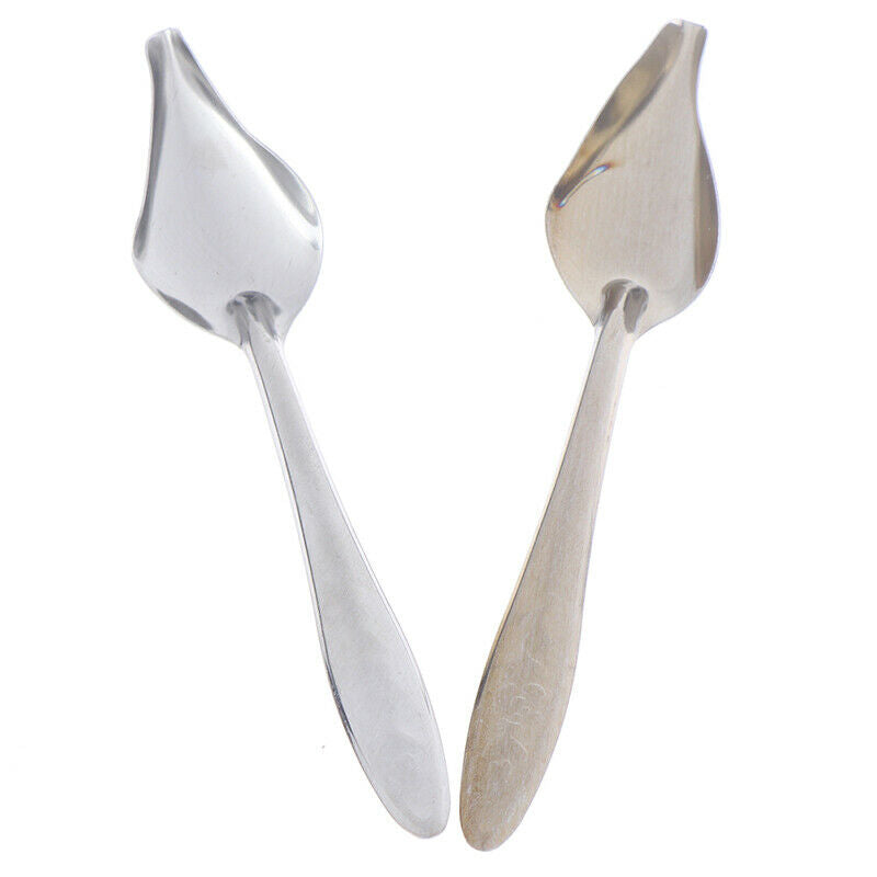 Bird Feeders Spoon Parrot's Milk Spoons Pets Supplies Water Feeding To.l8