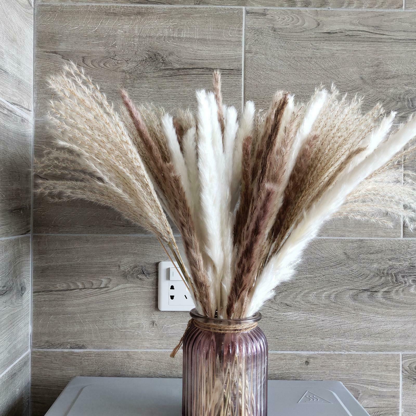 Pampas Grass Natural Dried Pampas Grass Decor for Home Arrangements, Pampas
