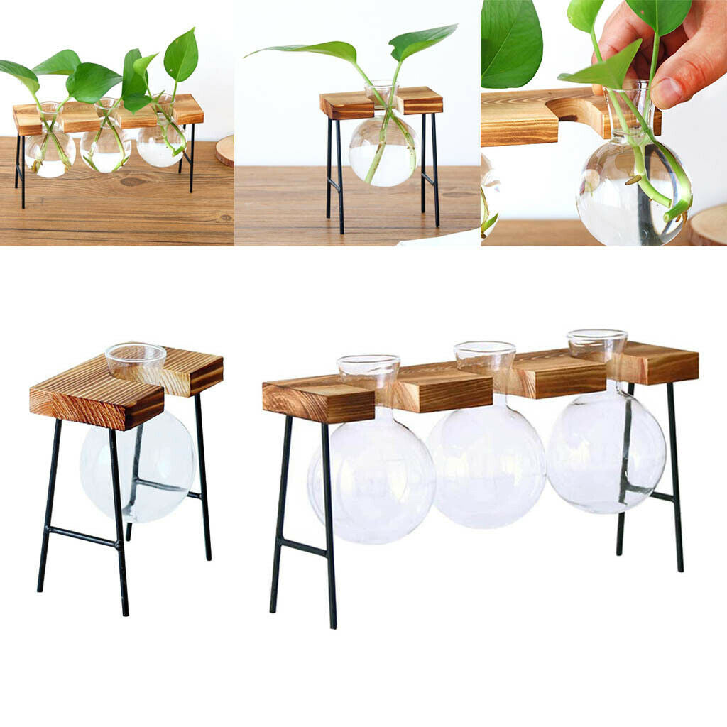Set of 2 Hydroponic Glass Planter Terrarium Gardening Indoor Outdoor L/S