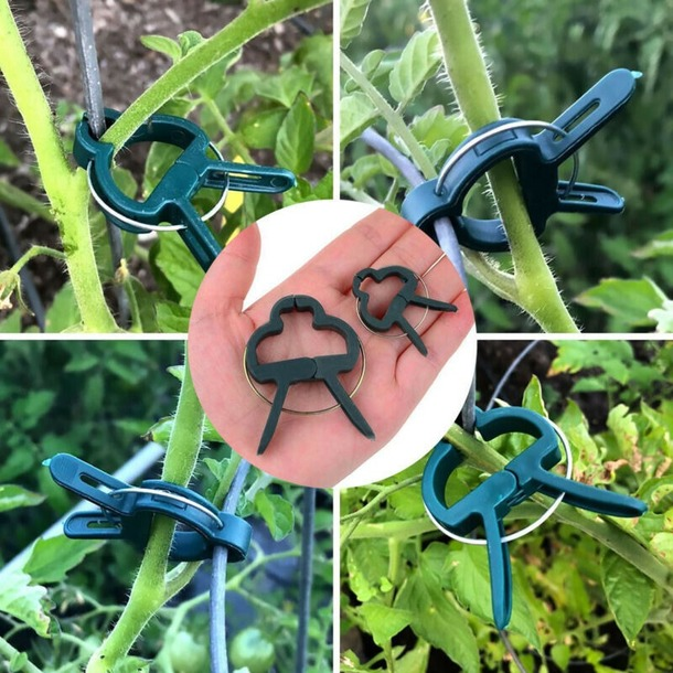 20pcs x Garden Plant Support Spring Clips Set for Vines Flower Gardening Stems C