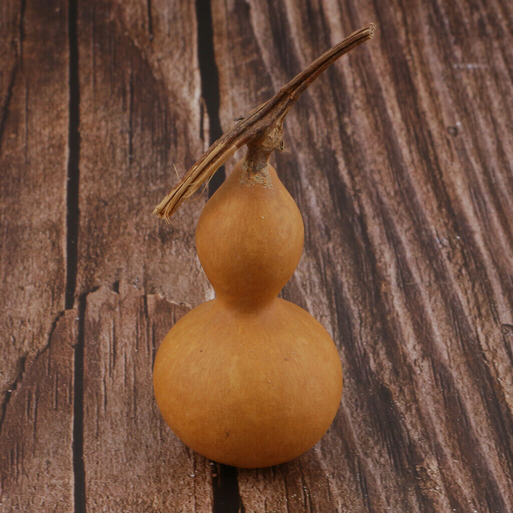 Natural Dried Gourd Fruit Crafts Home Table Accent Decor Ornament DIY Painting