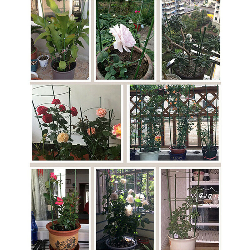 Vine Climbing Rack 60cm Flower Plant Trellis Plant Support Frame Garden JCAUJ NL
