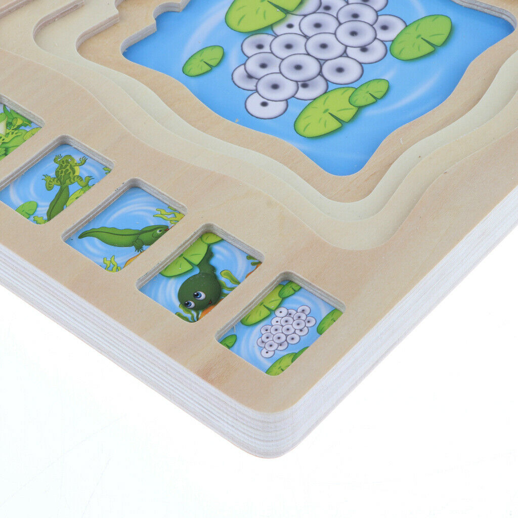 Frog Layer Puzzle, Wooden Stacking Puzzle, Children's Intelligence