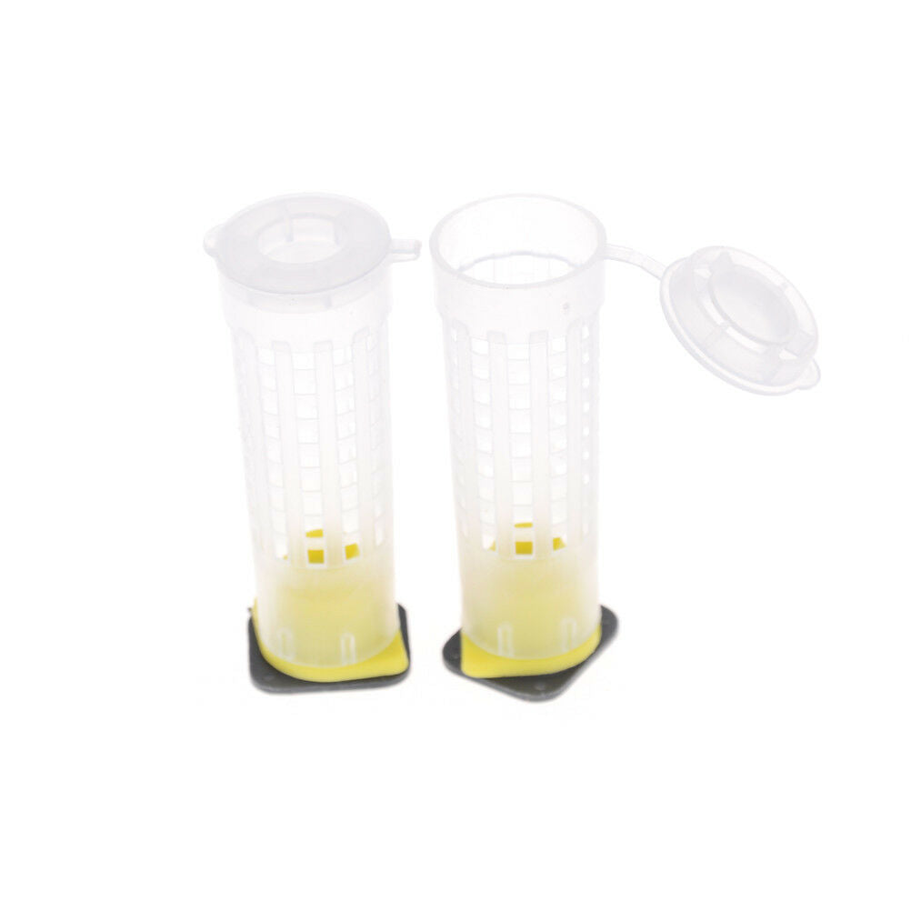 10PCS  Beekeeper Equipment Tool Beekeeping Rearing Cup Kit Queen Bee Cages!eJCDD
