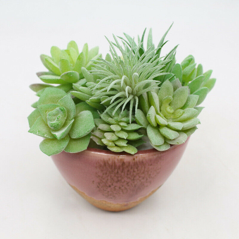 11Pcs Unpotted Artificial Succulents Flocked Plants Stems Desk Home Decor Garden