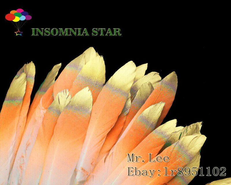 100pcs Fluorescent orange Colorful Natural Goose Feather 10-15cm/4-6 inches