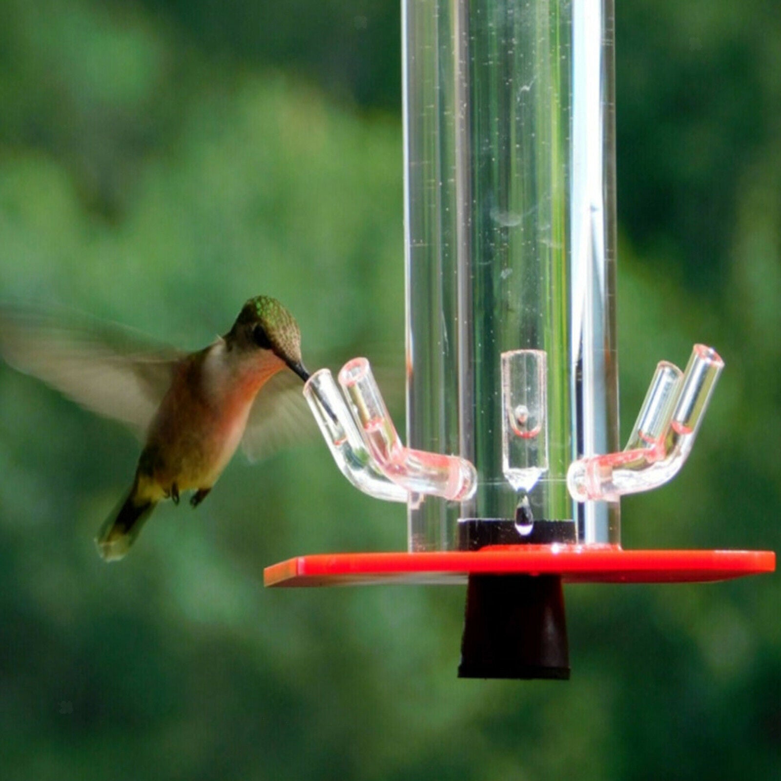 Hummingbird Feeder with Hanging Hook 5 Feeding Ports Patio Outdoors Balcony