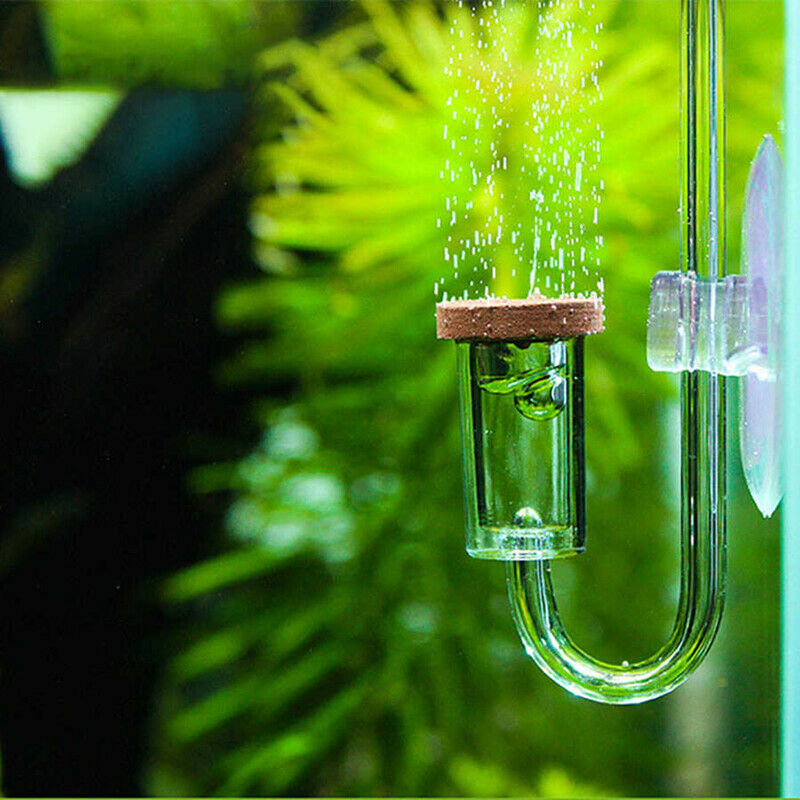 CO2 Diffuser Suction Cup Fixing Atomizer Bubble Aquarium CO2 Plants Regula Y Pb