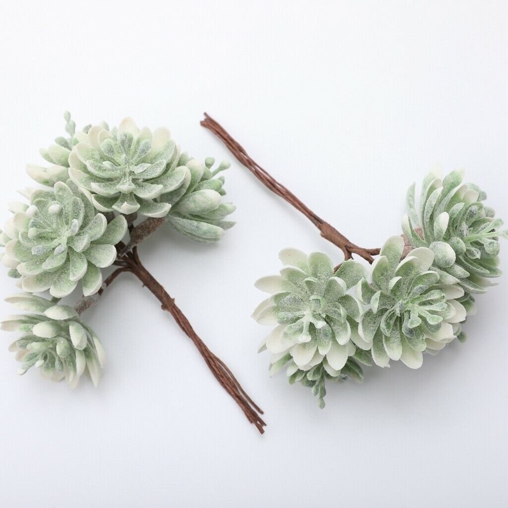 10pcs Pressed Dried Flowers Artificial Succulent Plants Wedding Party Decor