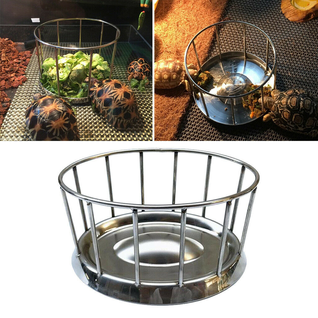 Stainless Steel Tortoise Food Bowl Turtle Food Dish Dispenser Feeding Tool B