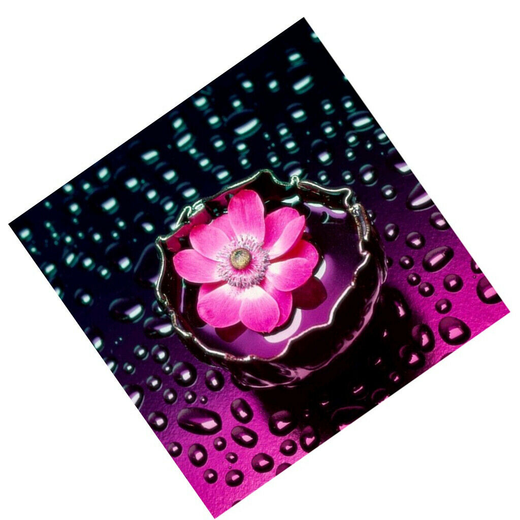 5D DIY Diamond Painting Embroidery Cross Stitch Kits Decor Flower