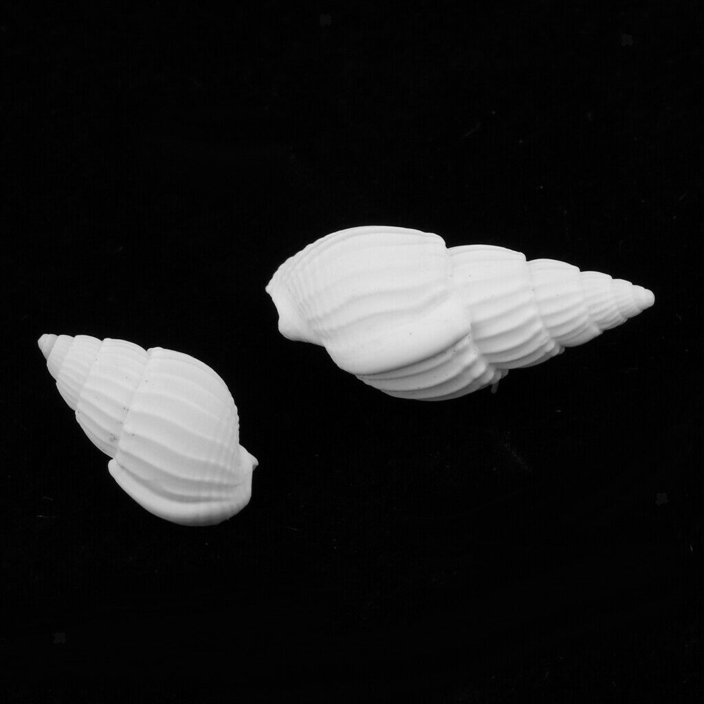 500g Mixed Sea Beach Shells Craft Seashells Aquarium Fish Tank Decor #1 500g