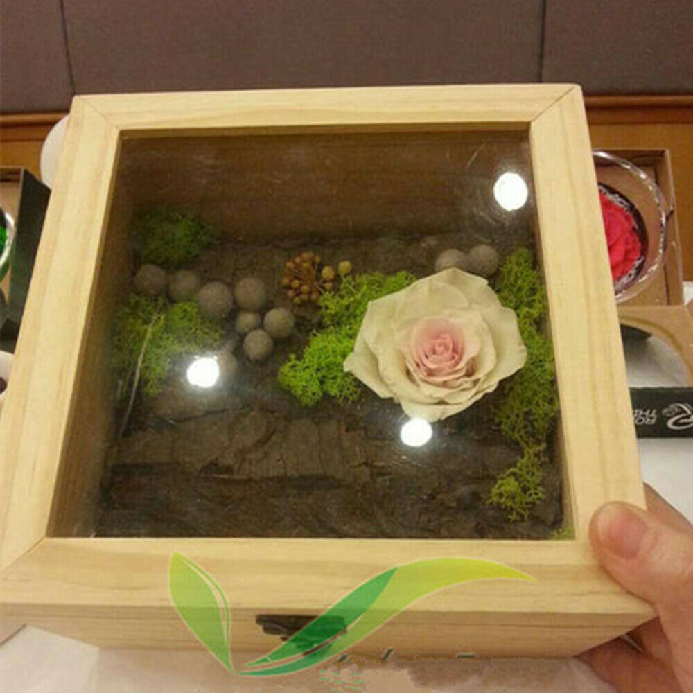 Natural Plain Wooden Box Unpainted Hinged Wood Storage Case Glass Lid 7#