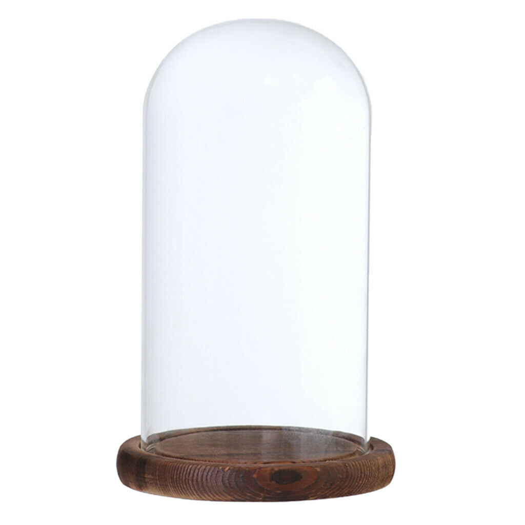 Set of 2 Decorative Cloche Toys Holder Terrarium with Cover & Base for Decor