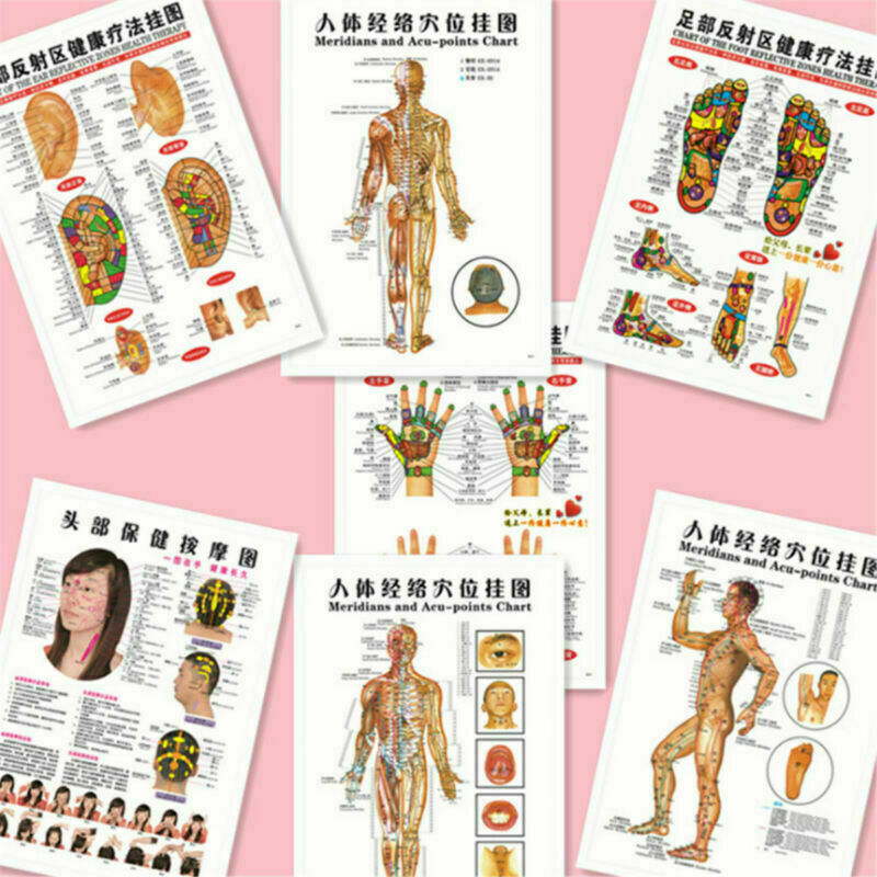 7pcs English Acupuncture Meridian Acupressure Points Posters Chart Wall Map
