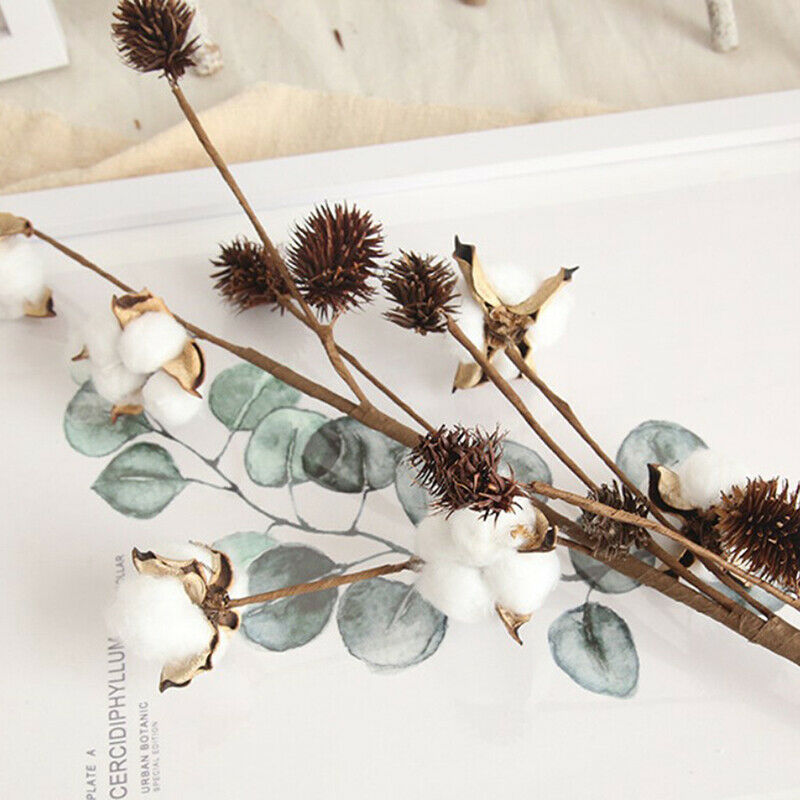 Naturally Dried Cotton Flowers Artificial Plants Floral Branch for Decora.l8