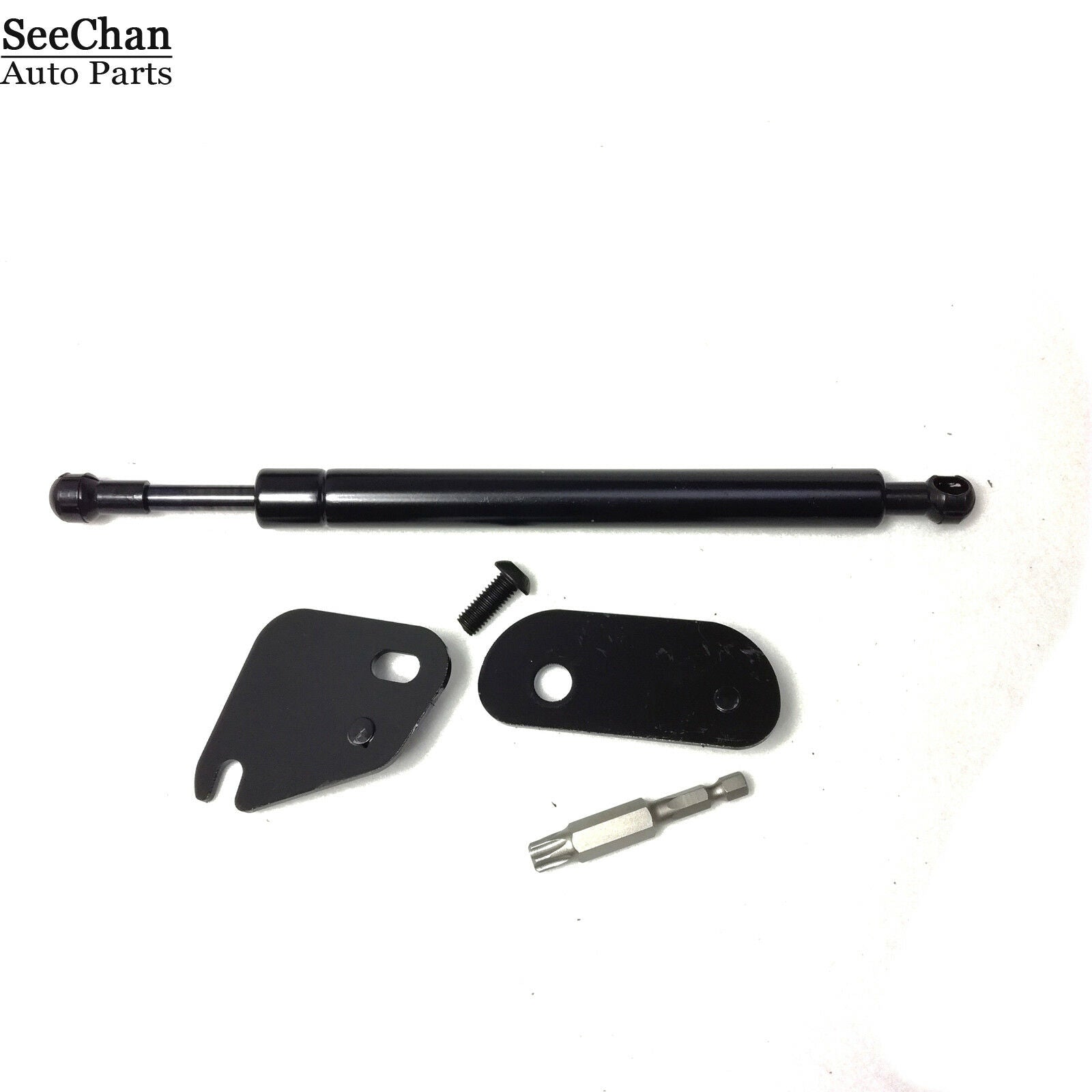 Tailgate Assist Shock Struts Fits For Ford F-150 2015- 2018 Trucks DZ43204