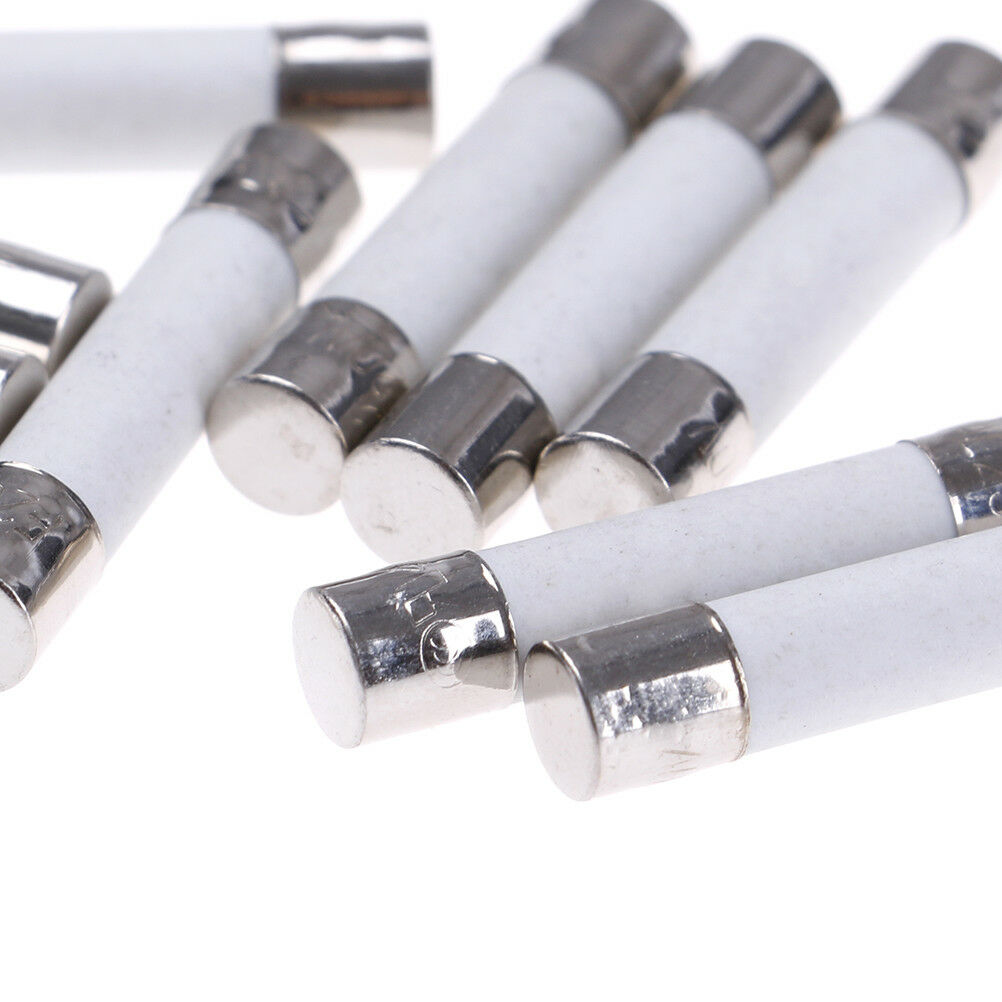 10 Pcs Microwave Ceramic Fuse Electric 20A 250V Home Supplies Diy 6X30mm  T C Tt