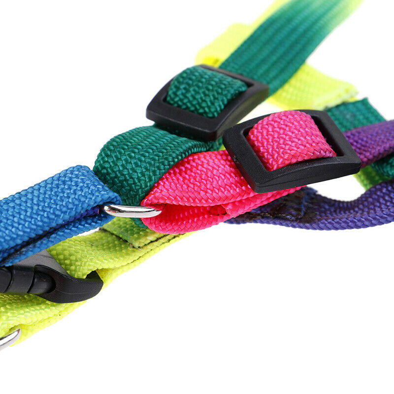 1 Pcs Elastic Rubber Band Tennis Ball Practice Training Belt Line Cord To.l8