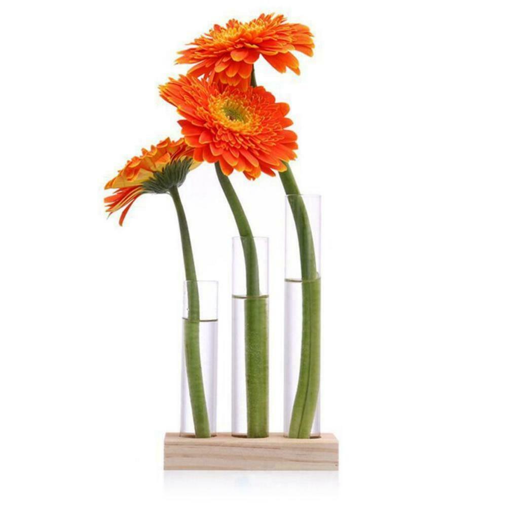 Creative Home Wedding Ornaments 3Pieces Test Tube Flower Vase Pot + Wooden Base