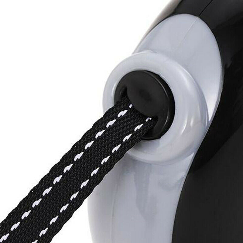 5M Automatic Retractable Pet Dog cat Leash Traction Rope Lead Chain Rope Black