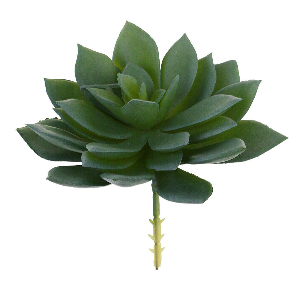 Realistic Plastic Succulents Plants Photography Props Plant Arrangement Decor