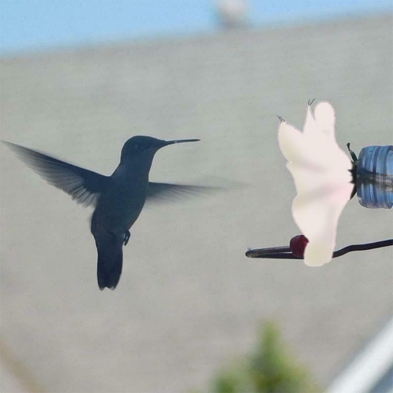 15cm  Proof Waterproof Plastic Decoration Garden  Hummingbird  Feeder