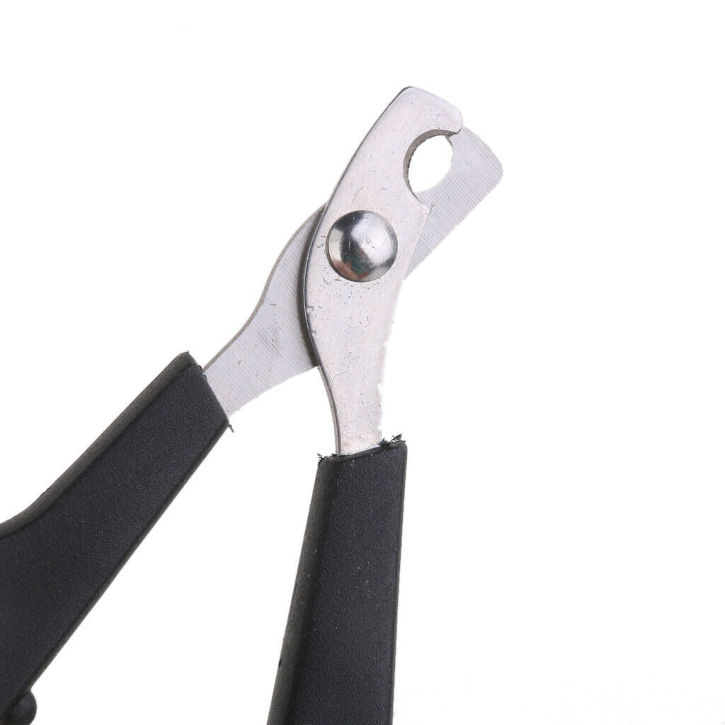 Pet Nail Clippers Trimmer Scissors And Double Hair Comb Brush