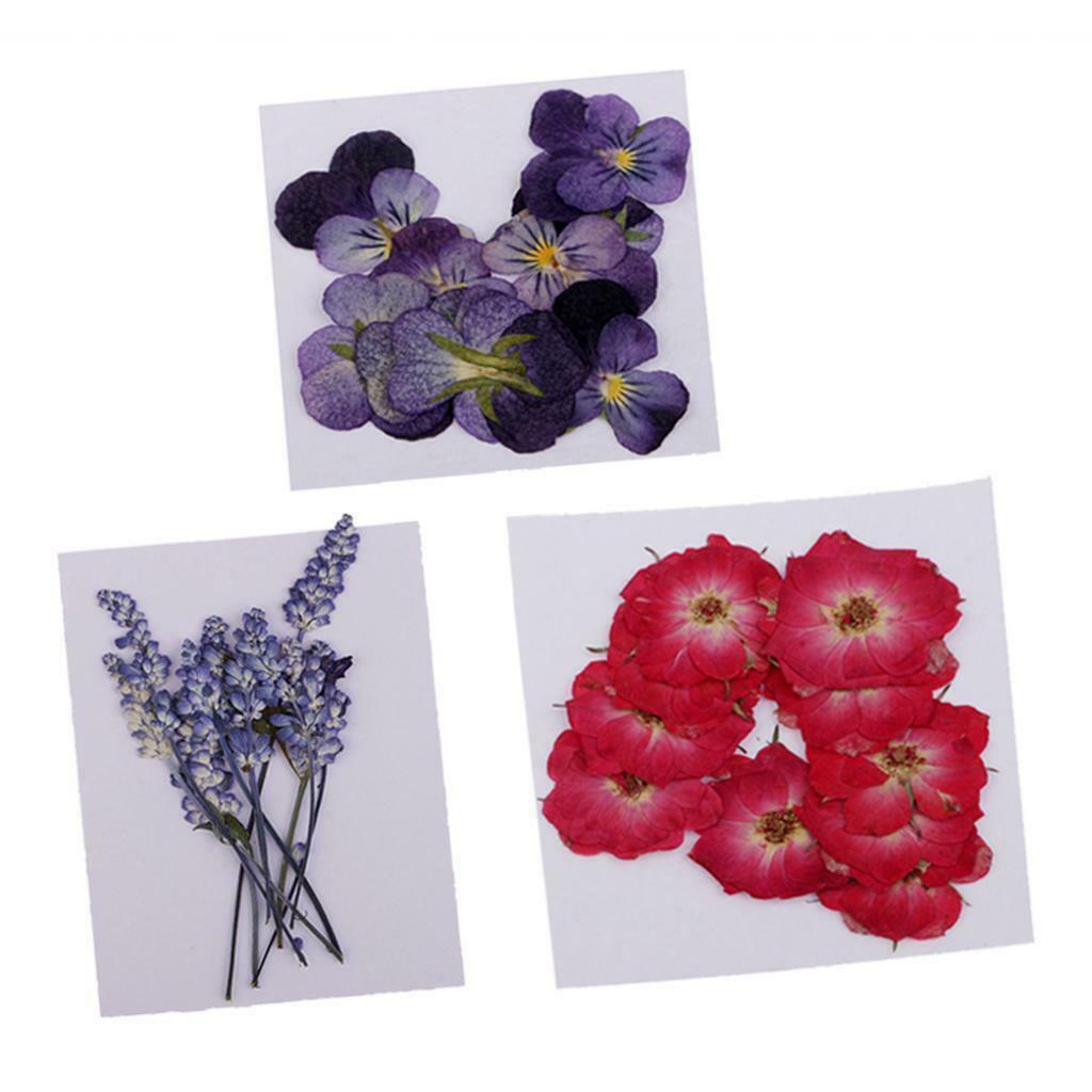 32x Pressed Dried Flowers Real Touch Muti Species for Soap Jewelry Epoxy