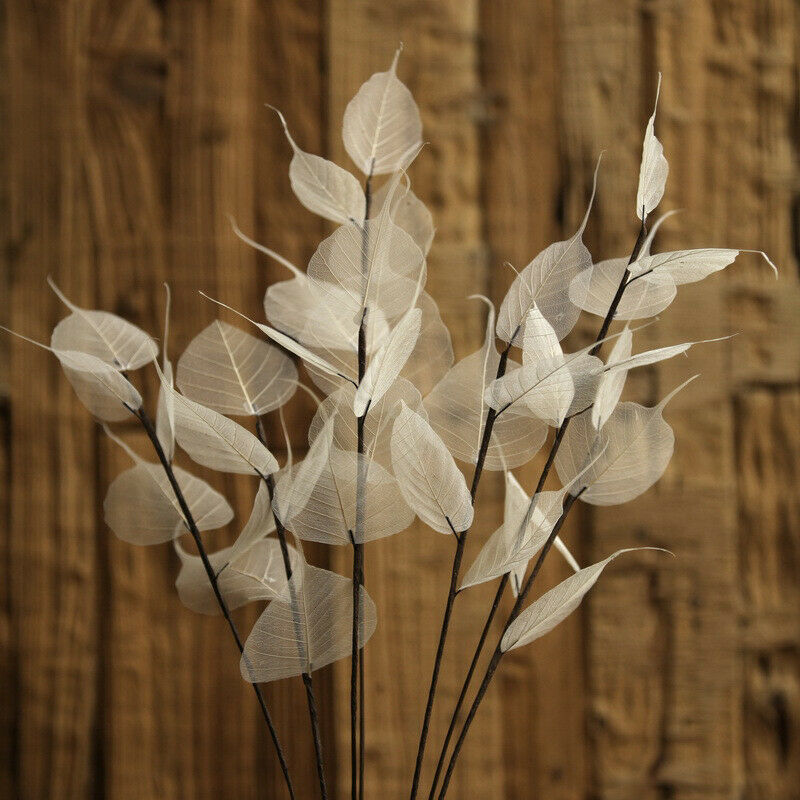 55cm Natural white Bodhi leaf vein Branch dried Flower wedding flower P1 TwJ.DD
