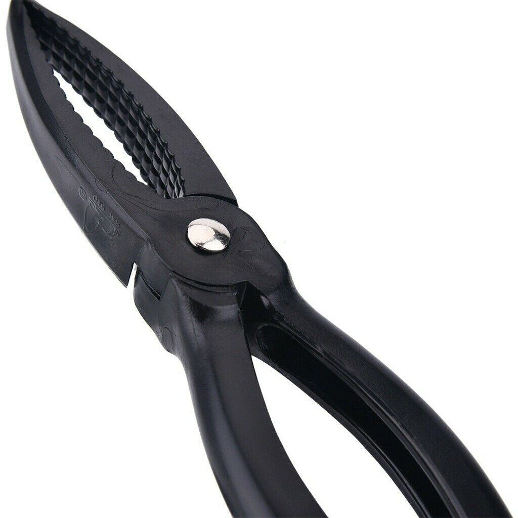 Fishing Gripper Tight Grabber Fish Lip Grip Fish Holder Clamp Keeper Controller