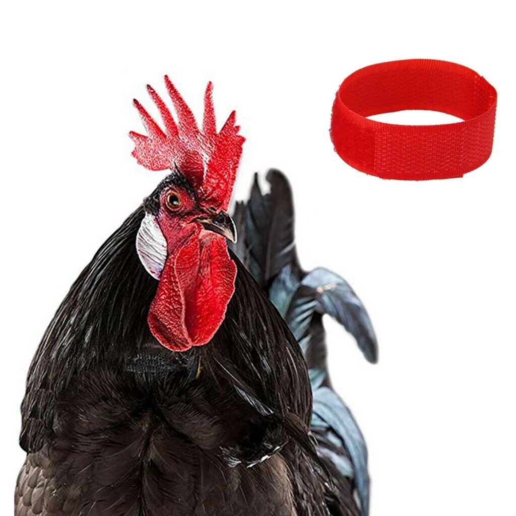 12pcs No Crow Collar for Roosters Chicken No Crowing Noise Free Black&Red