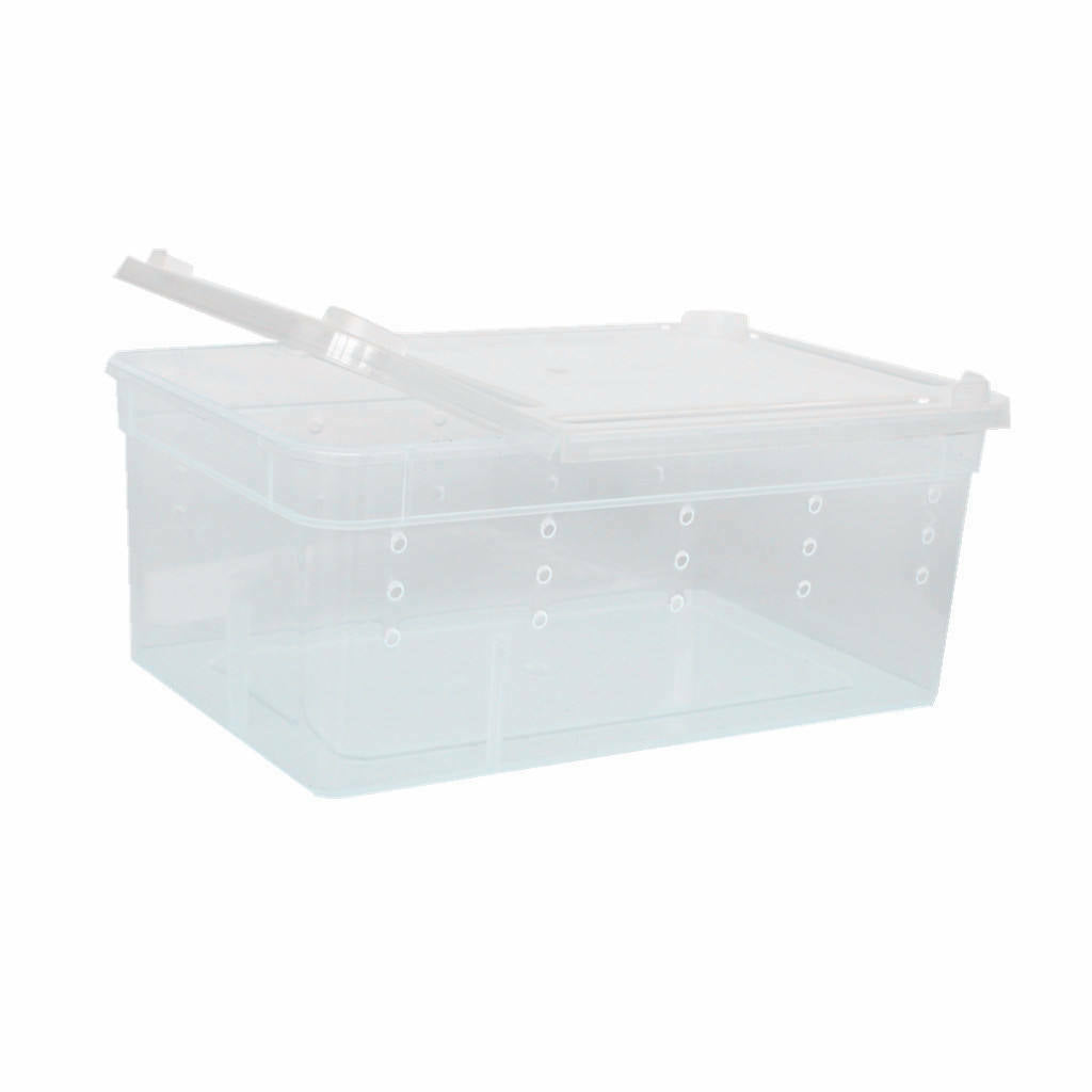 2Pieces Reptile Water Feeding Box Turtle Hatching Box Lizards Tortoise Frogs