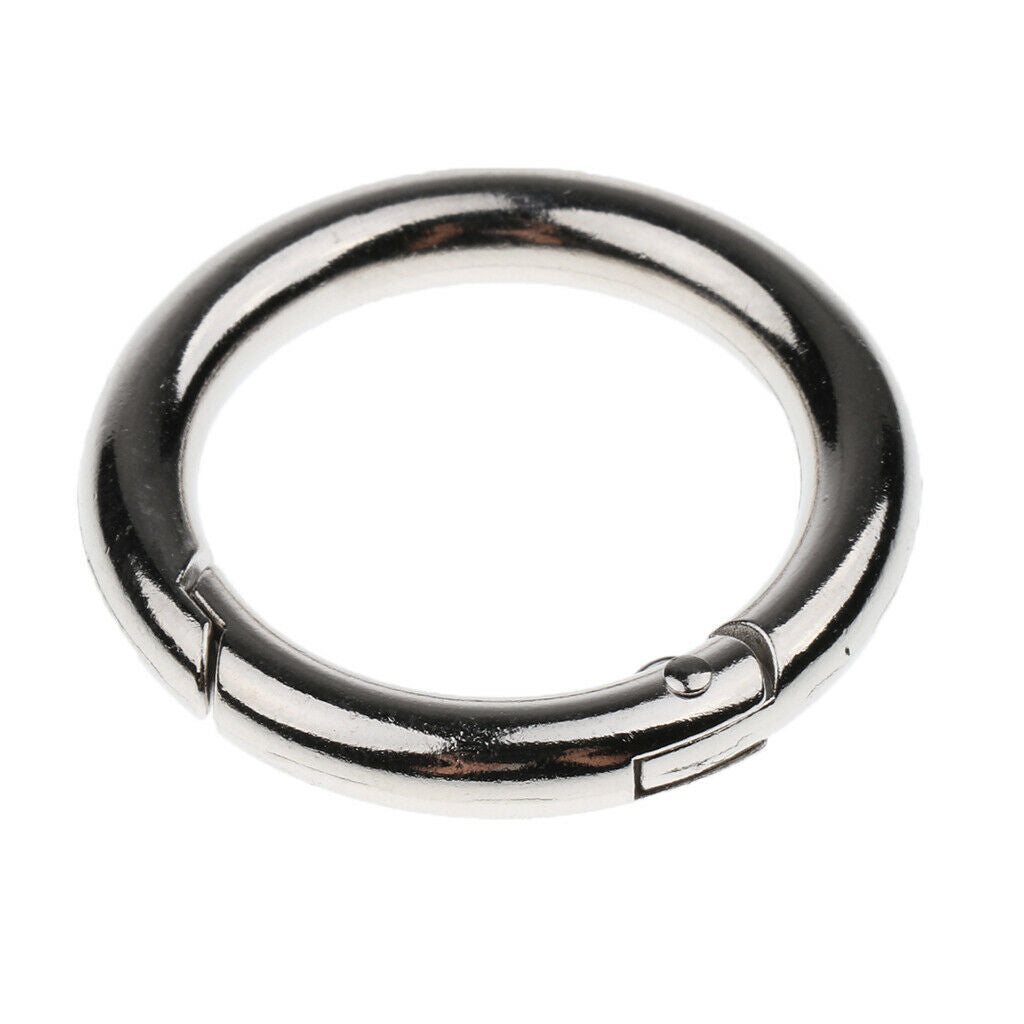 Zinc Alloy Round Carabiner Spring Snap Clips Hook Keychain Keyring Buckle, 10