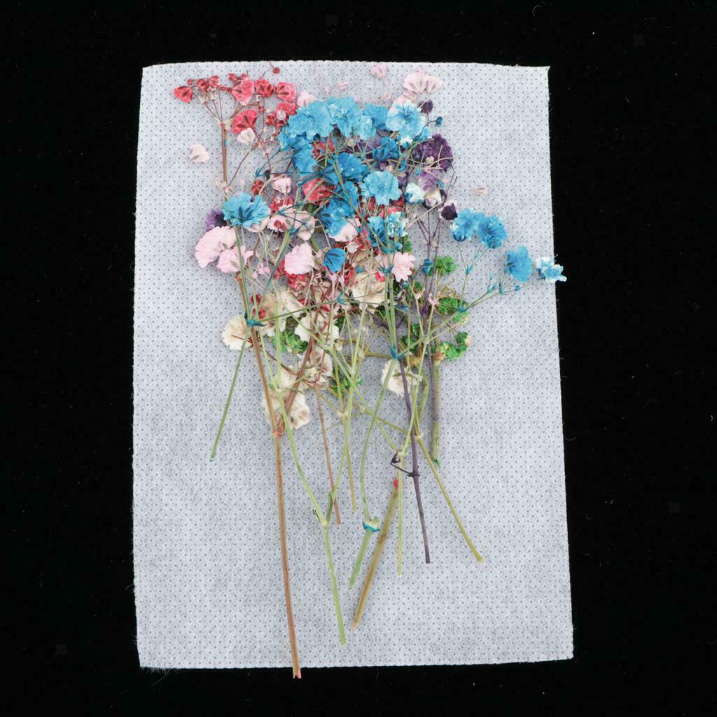12Pcs Natural Dried Flowers Babysbreath DIY Pressed Herbarium Flower Decorative