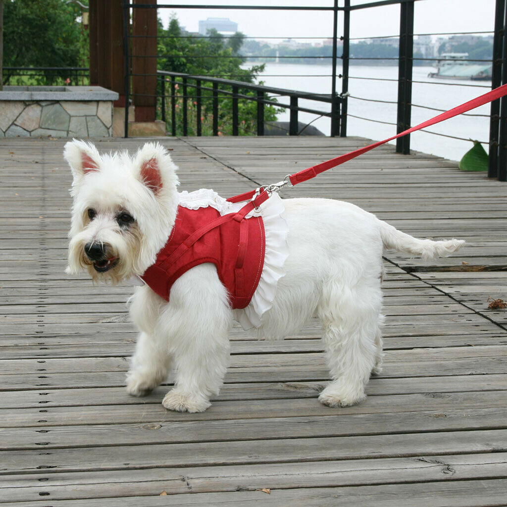 Pet Dog Harness Leash Pet Costume Clothes for Small Pet Cat Puppy Red-XS