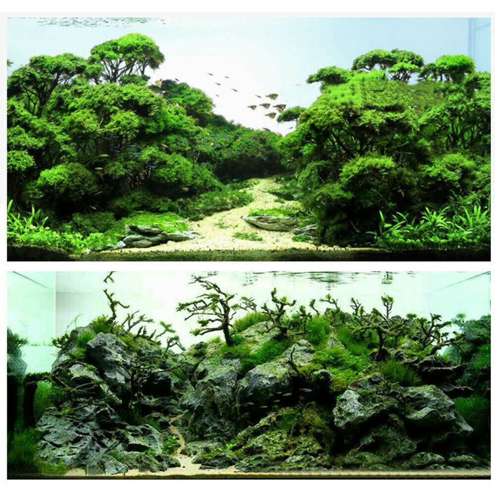1PC Aquarium Driftwood Thai Branch Tree Plant Ornament Fish Tank Decor 20-50cm