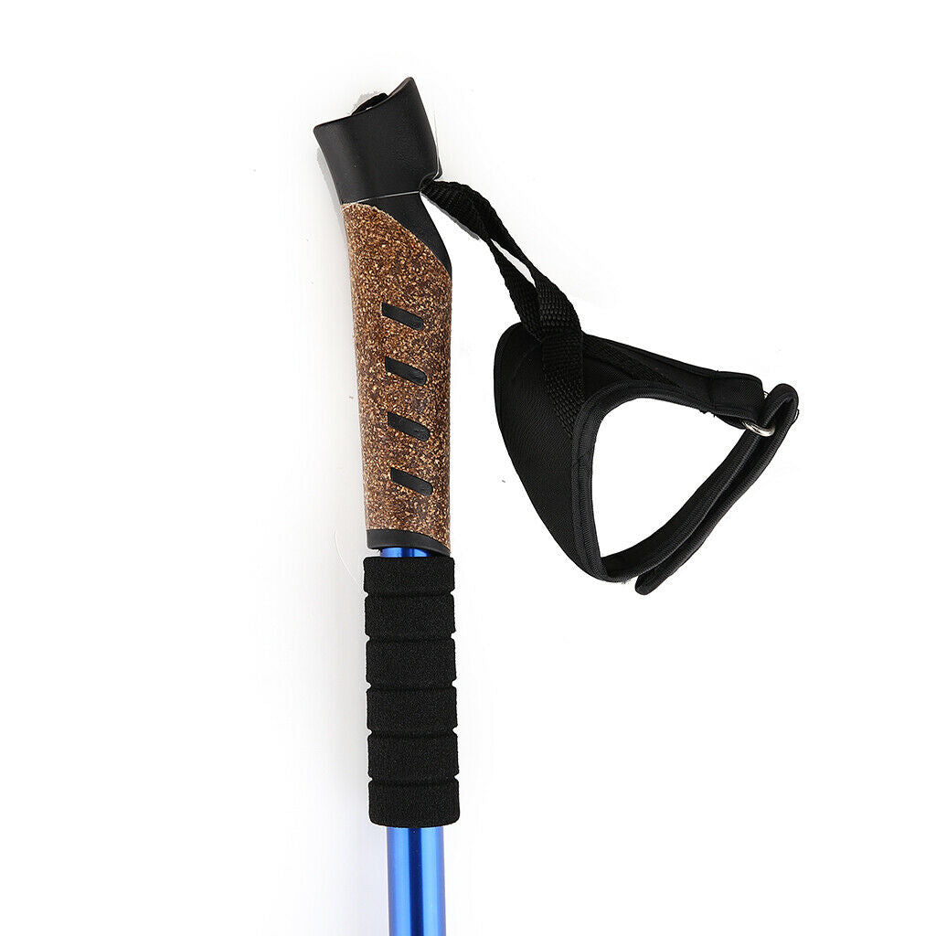 2pcs Folding Trekking Walking Hiking Sticks Poles Camping Cane Bag Black