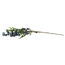 Plants Flowers Fruits Bunch for Photo Prop Table Centerpieces Dark Green Decor