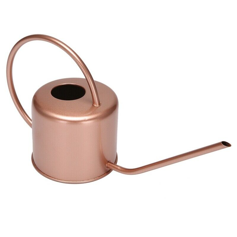 1300Ml Wate Can Metal Garden Stainless Steel for Home Flower Water Bottle EasyO9