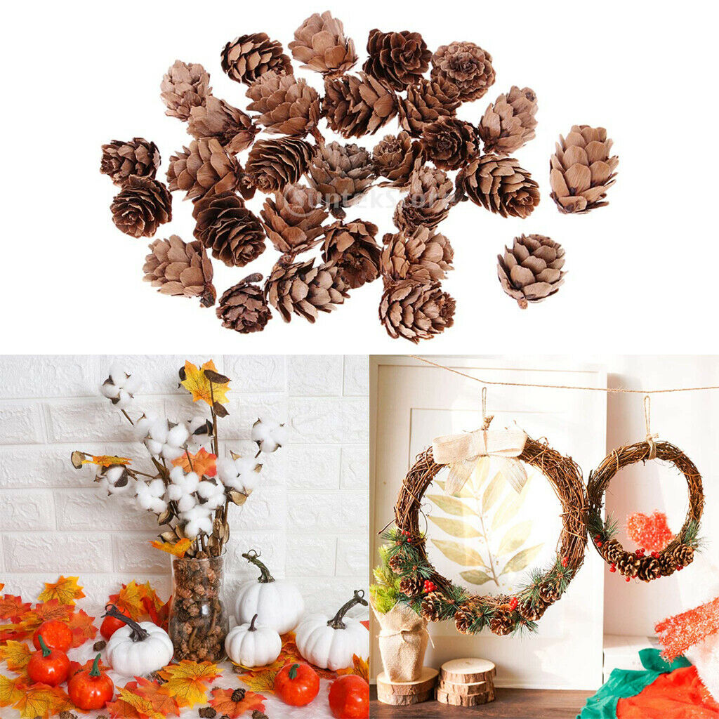 30x Small Natural Dried Pine Cones in Bulk Dried Flower for Christmas Decoration