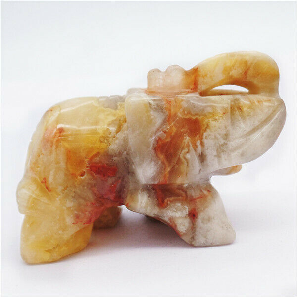 50x33x22mm Natural Crazy Lace Agate Carved Elephant Decoration Statue HH7959