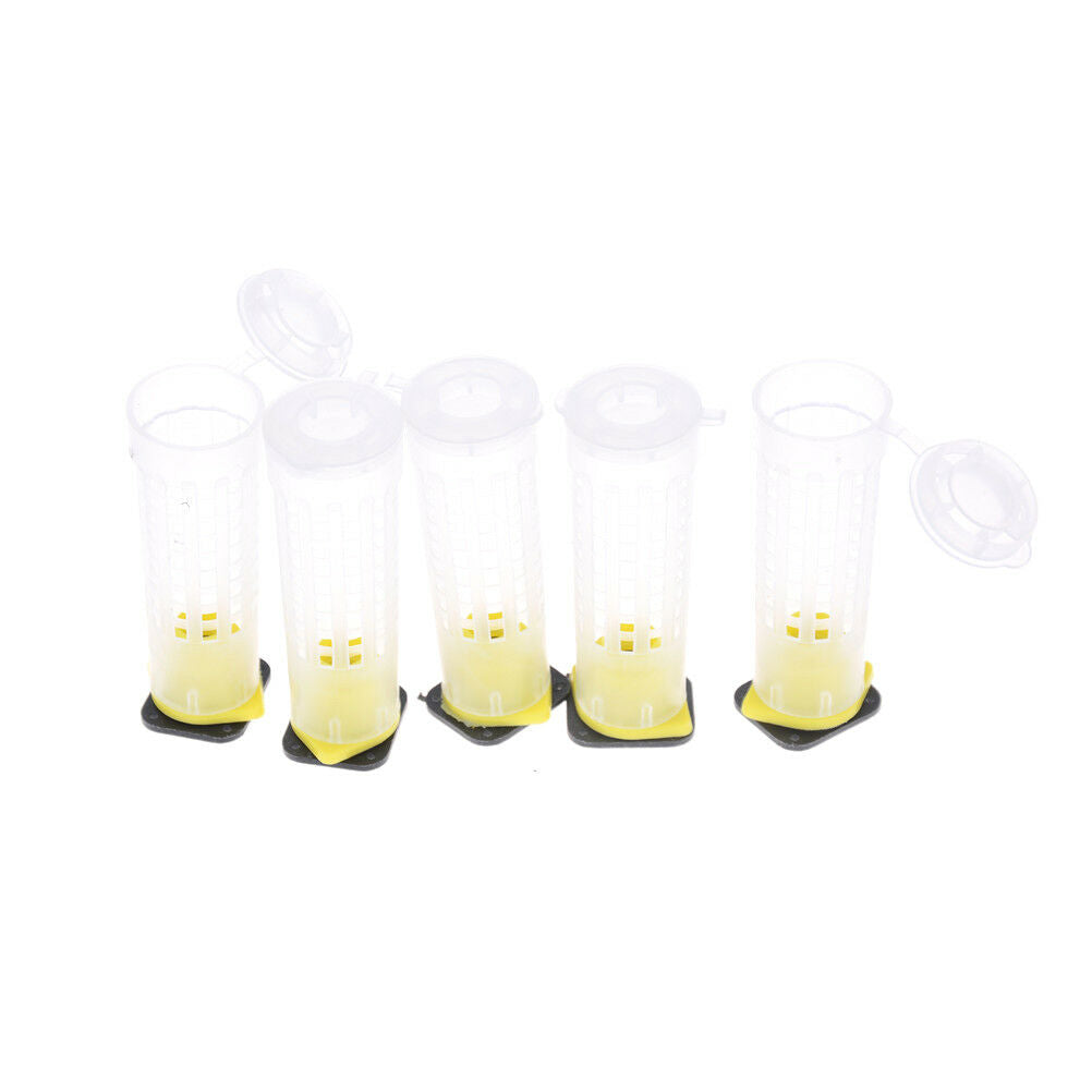 10PCS  Beekeeper Equipment Tool Beekeeping Rearing Cup Kit Queen Bee Cages!eJCDD