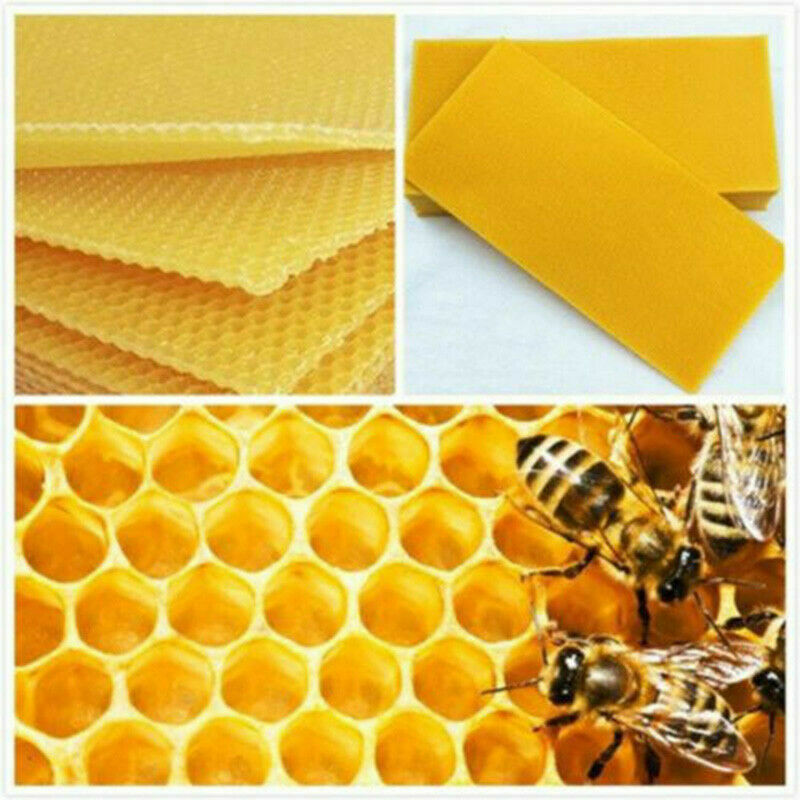 Honeycomb Bee Wax Foundation Honey Hive Equipment Bee Honey Sheets Tool 10Pcs