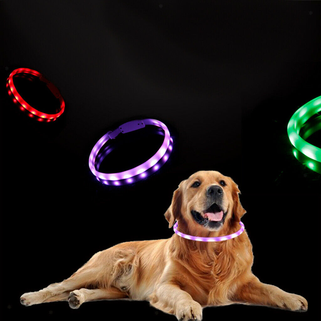 Dog LED Collar Anti-Lost Night Flashing Collars Glow In The Dark Adjustable