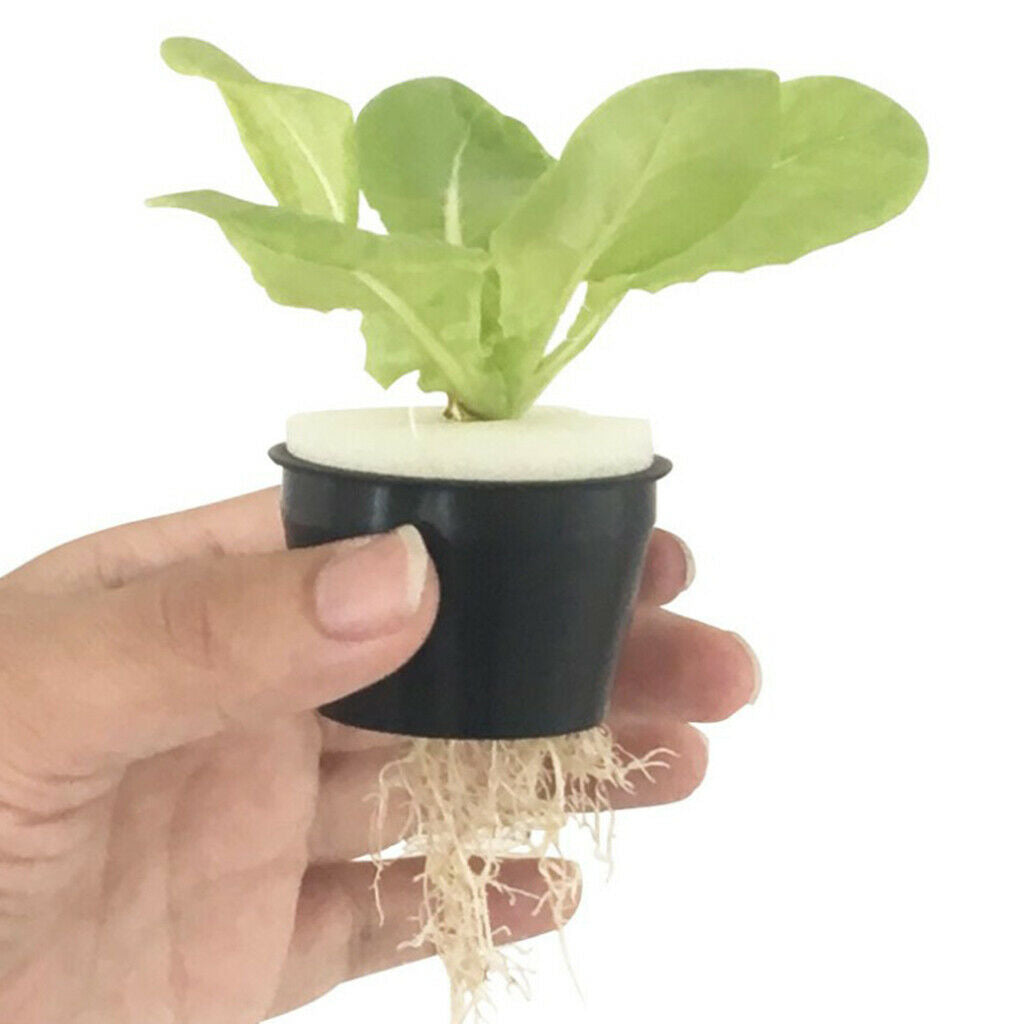 Set of 20 Hydroponic Planting Basket Pots for Planting Orchids Peppers Herbs