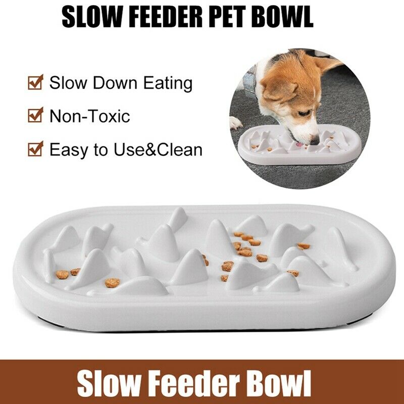 Slow Feeder Cat Bowls Pet Fun Interactive Feeder Cat Bowls Helps Stop Bloat N3O5