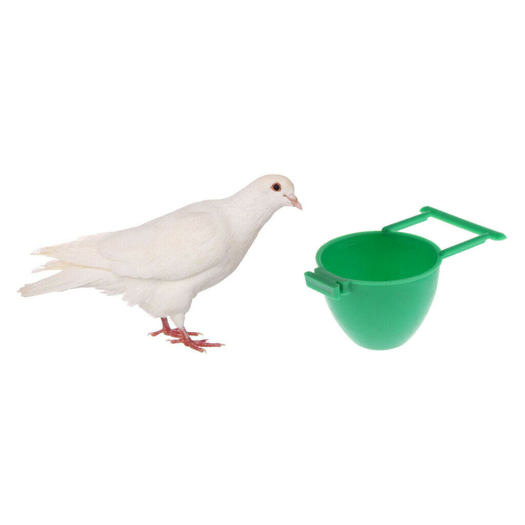 10 Pcs Chicken Bird Automatic Drink Water Drinking Plastic Pigeon Feeder Quail