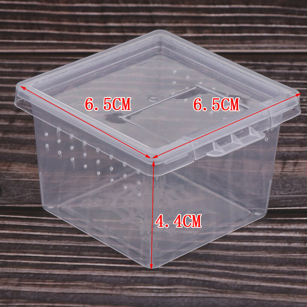 20x Reptile Plastic Clear Feeding Container Vivarium Rearing Box for Raising